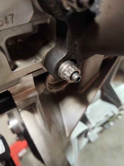 IMG_20260410_201744238.jpg