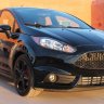 Catnip4CarGuys