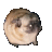 mrmuffinhands