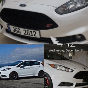 2017 FiST
